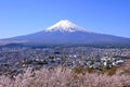 Mount Fuji and Cherry blossoms at Arakurayama Sengen Park Royalty Free Stock Photo