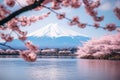 Mount Fuji and cherry blossoms, Japan's national flower