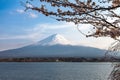 Mount Fuji and cherry blossoms in spring, Kawaguchi lake Japan