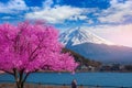 Mount Fuji and cherry blossoms which are viewed from lake Kawaguchiko, Yamanashi, Japan.