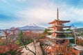 Mount Fuji, Chureito Pagoda in Autumn Royalty Free Stock Photo