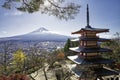 Mount Fuji and Chureito Pagoda