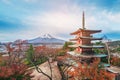 Mount Fuji, Chureito Pagoda in Autumn Royalty Free Stock Photo