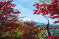 Mount Fuji with Clear sky at Kawakuchigo lake with red maple Royalty Free Stock Photo