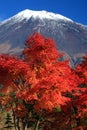 Mount Fuji in Fall Royalty Free Stock Photo