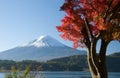 Mount Fuji in Fall VII Royalty Free Stock Photo