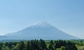 Mount fuji and green tree in the morning at japan