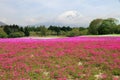 Mount Fuji, Japan Royalty Free Stock Photo