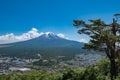 Mount Fuji, Japan Blue sky Old tree