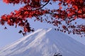 Mount Fuji Japanese iconic in autumn