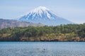 Mount Fuji from lake Saiko with gooses in spring Royalty Free Stock Photo