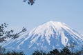 Mount Fuji from lake Saiko in spring Royalty Free Stock Photo