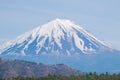 Mount Fuji from lake Saiko in spring Royalty Free Stock Photo