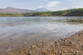 Mount Fuji from lake Saiko in spring Royalty Free Stock Photo