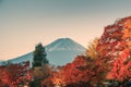 Mount Fuji on maple garden in evening Royalty Free Stock Photo