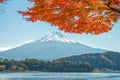 Mount Fuji with maple tree Royalty Free Stock Photo