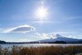 Mount Fuji and the Miscanthus