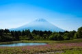 Mount Fuji and Shibasakura