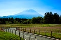 Mount Fuji and Shibasakura