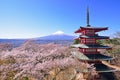 Mount Fuji and pagoda with cherry blossoms in Arakurayama Sengen Park Royalty Free Stock Photo