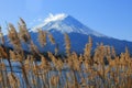 Mount fuji reflection in season of autumn