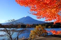 Mount Fuji with sakura autumn leaves
