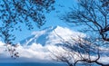 Mount Fuji and Sakura tree branch are framed Royalty Free Stock Photo