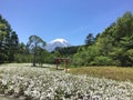 Mount Fuji scenery