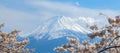 Mount Fuji with snow capped, blue sky and beautiful Cherry Blossom or pink Sakura flower tree in Spring Season at Lake kawaguchiko Royalty Free Stock Photo