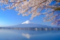 Mount Fuji with snow capped, blue sky and beautiful Cherry Blossom or pink Sakura flower tree in Spring Season at Lake kawaguchiko Royalty Free Stock Photo