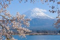 Mount Fuji with snow capped, blue sky and beautiful Cherry Blossom or pink Sakura flower tree in Spring Season at Lake kawaguchiko Royalty Free Stock Photo