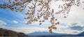 Mount Fuji with snow capped, blue sky and beautiful Cherry Blossom or pink Sakura flower tree in Spring Season at Lake kawaguchiko Royalty Free Stock Photo