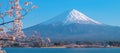 Beautiful Mount Fuji with snow capped and blue sky at Lake kawaguchiko, Japan. Royalty Free Stock Photo