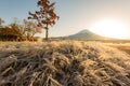 Mount Fuji Sunrise Royalty Free Stock Photo