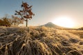 Mount Fuji Sunrise Royalty Free Stock Photo