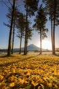 Mount Fuji Sunrise Royalty Free Stock Photo