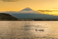 Mount Fuji with Swan and duck at Lake Kawaguchi in the evening sunset. Mt Fujisan in Yamanashi, Japan. Landmark for tourists Royalty Free Stock Photo