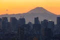 Mount Fuji and Tokyo city view Royalty Free Stock Photo