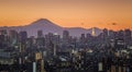 Mount Fuji and Tokyo city view Royalty Free Stock Photo