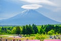 Mount Fuji view behind colorful flower field at Fuji Shibazakura Festival