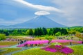 Mount Fuji view behind colorful flower field at Fuji Shibazakura Festival