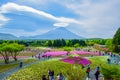 Mount Fuji view behind colorful flower field at Fuji Shibazakura Festival