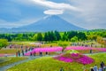 Mount Fuji view behind colorful flower field at Fuji Shibazakura Festival