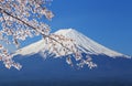 Mount Fuji, view from Lake Kawaguchiko Royalty Free Stock Photo