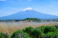 Mount Fuji view from Oishi park at the Lake Kawaguchiko