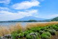 Mount Fuji view from Oishi park at the Lake Kawaguchiko