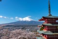 Mount Fuji viewed from behind Chureito Pagoda in full bloom cherry blossoms Royalty Free Stock Photo