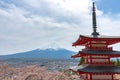 Mount Fuji viewed from behind Chureito Pagoda in full bloom cherry blossoms Royalty Free Stock Photo