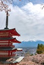 Mount Fuji viewed from behind Chureito Pagoda in full bloom cherry blossoms Royalty Free Stock Photo