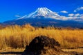 Mount Fuji and volcanic rock in Asagiri Plateau